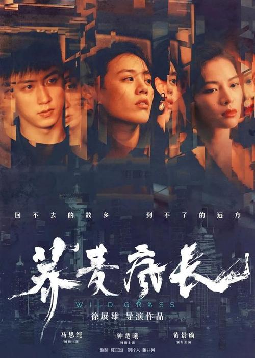 制作假的丰田机动车整车出厂合格证